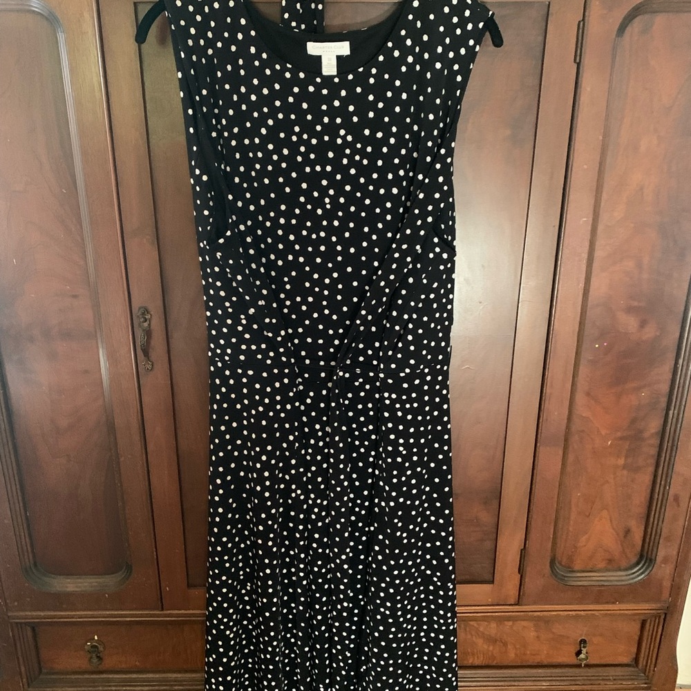 Charter Clubs Womens dress polka dot